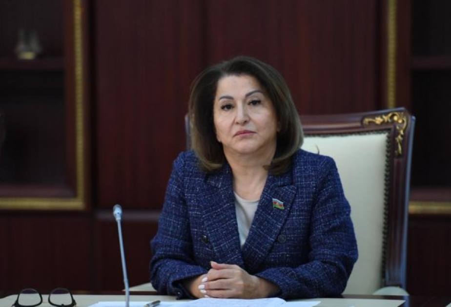 Deputat: Türkdilli dövlətlər arasında əməkdaşlıq yeni mərhələyə qədəm qoyur