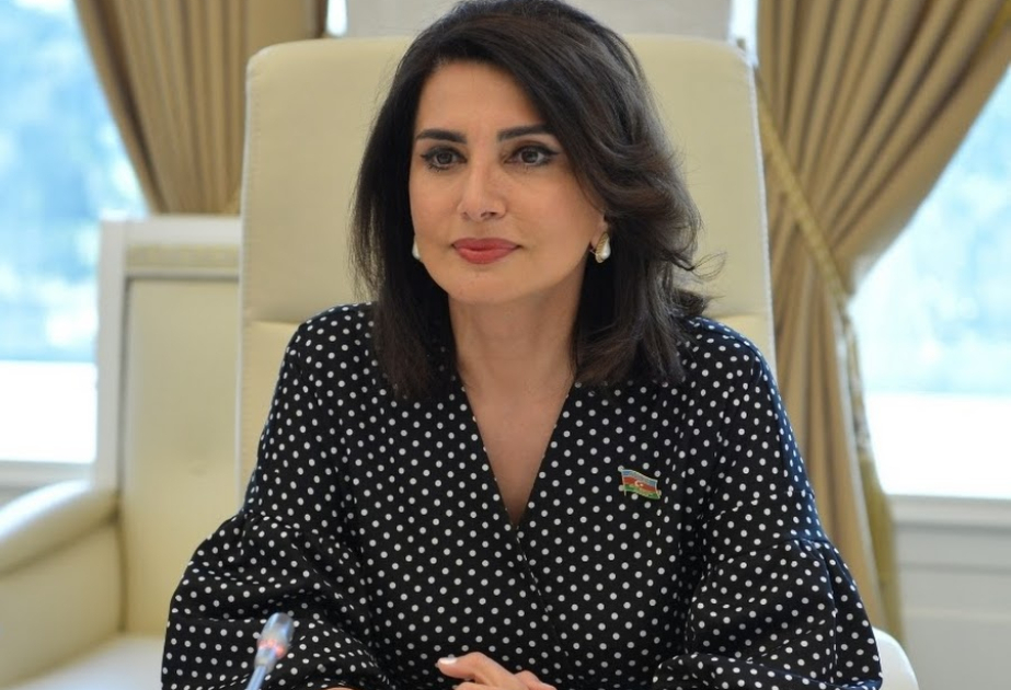 Prezident İlham Əliyevin Macarıstana səfəri Azərbaycanın sadiq qaldığı siyasi xəttin bir daha dünyaya çatdırıldığı müstəviyə çevrildi - RƏY