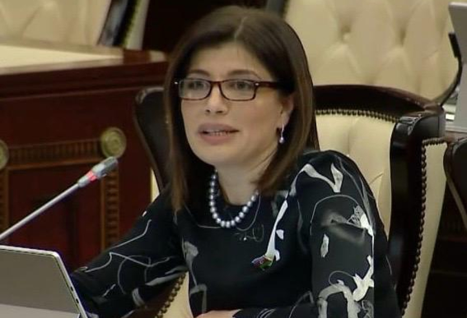 Gunay Afandiyeva: Alongside political cooperation, real basis of Azerbaijan-Hungary relations is a true friendship built on mutual respect and trust -  COMMENTARY