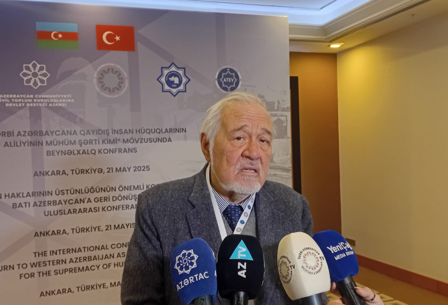 Türkiyəli tarixçi: Qərbi Azərbaycan mövzusunda müzakirələr davam etdirilməlidir