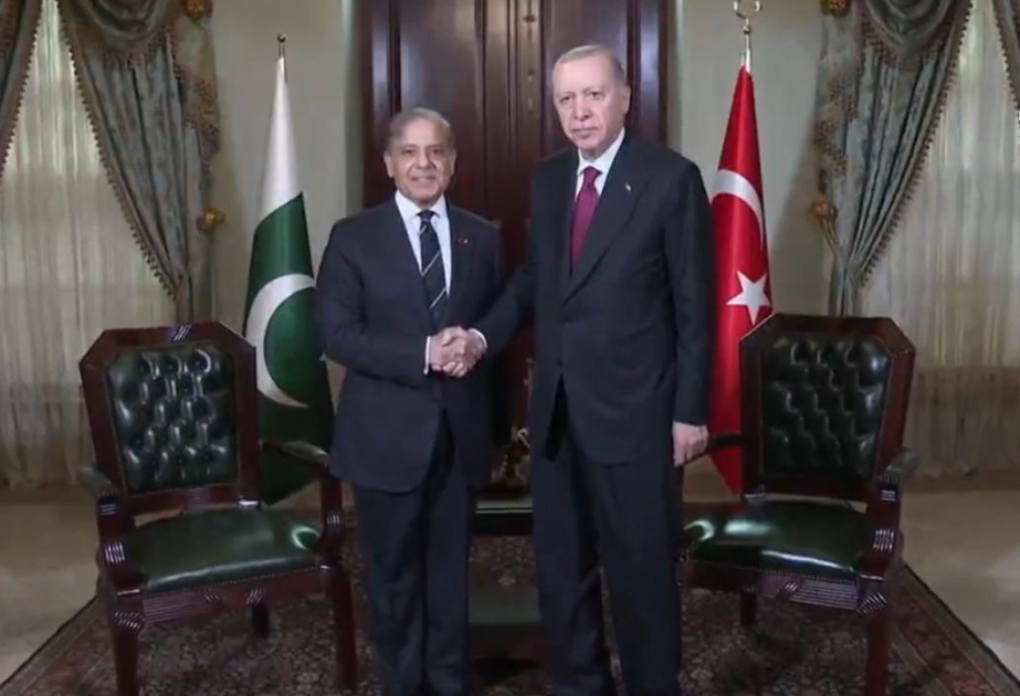 Turkish President Erdogan receives Pakistani Prime Minister Sharif in Istanbul