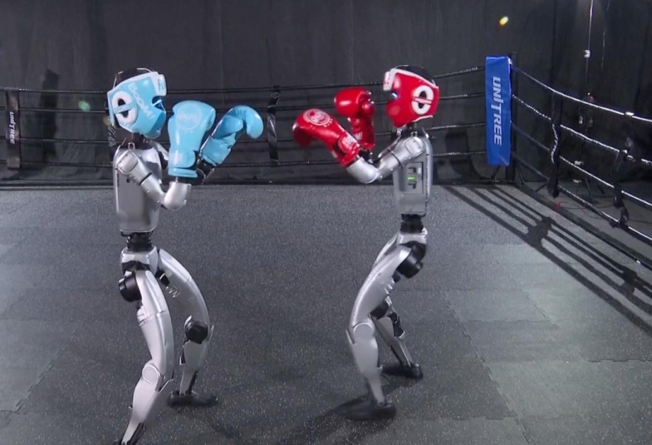 Çində insanabənzər robotların boks yarışı keçirilib VİDEO