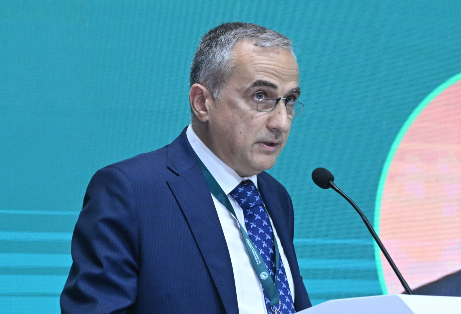 İslamofobiya bütün beynəlxalq cəmiyyətin üzləşdiyi təhdiddir