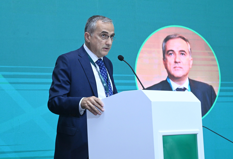 Farid Shafiyev: Islamophobia poses a serious threat to global stability and unity