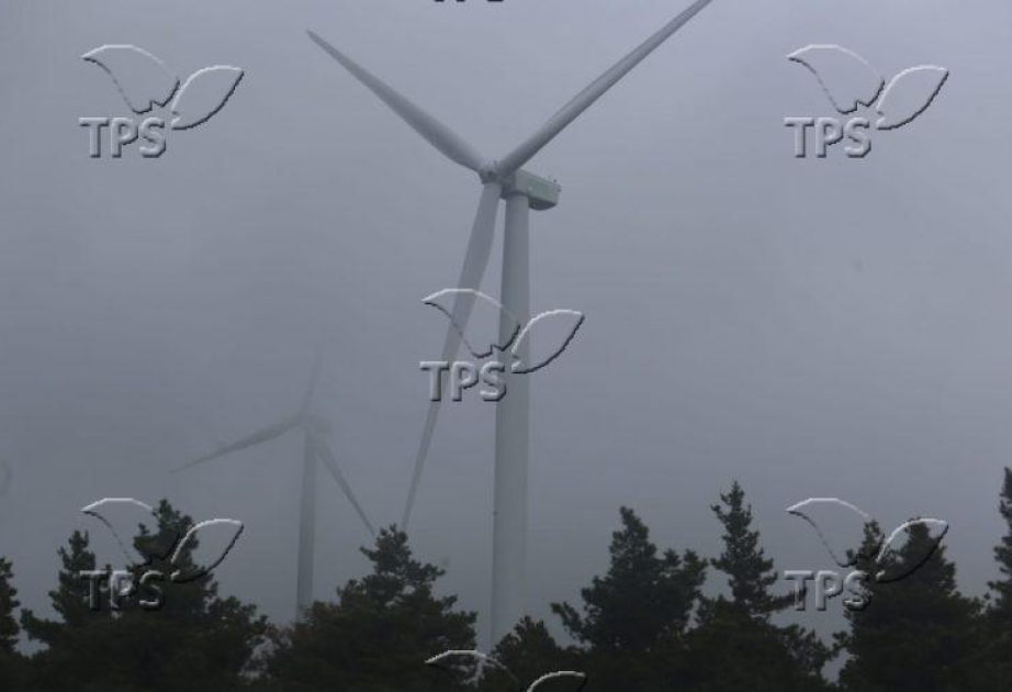 Climate change could undercut wind energy potential in Middle East, scientists warn