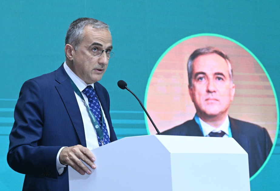 Fərid Şəfiyev: İslamofobiya ilə mübarizə Azərbaycanın xarici siyasətinin prioritetlərindən biridir