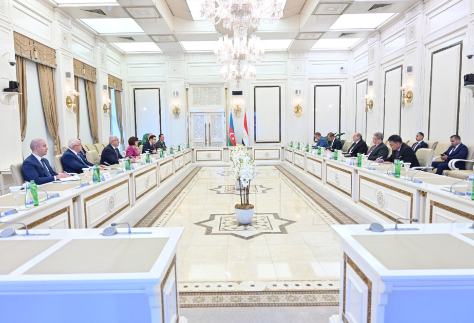 Intercambio de opiniones sobre la profundización de las relaciones interparlamentarias entre Azerbaiyán y Egipto