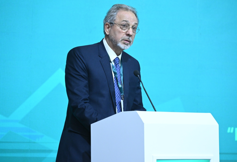 OIC Assistant Secretary-General: Azerbaijan has always demonstrated a principled position in combating Islamophobia