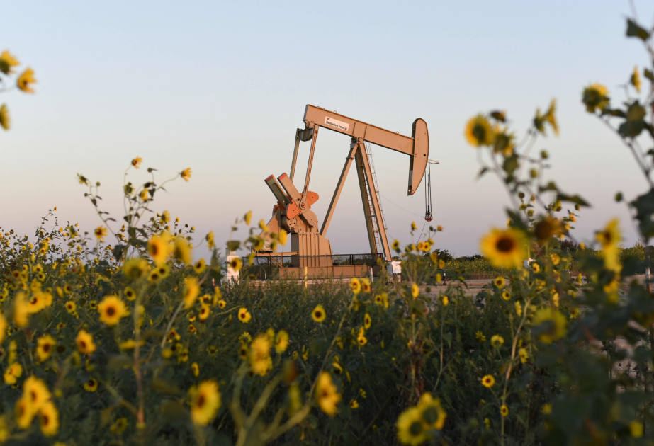 На мировых биржах снизились цены на нефть