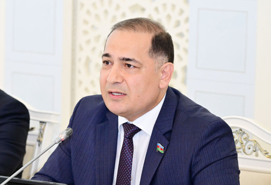 Komitə sədri: 2024-cü il dövlət büdcəsinin icrası əlverişli makroiqtisadi şəraitdə həyata keçirilib