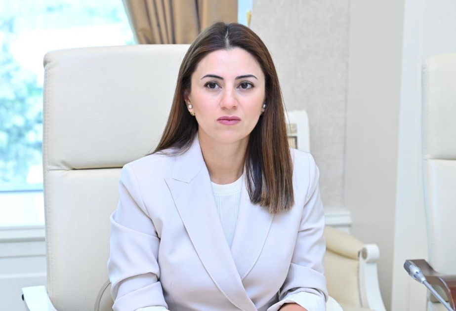 TDT-nin Budapeştdəki qeyri-rəsmi sammiti qarşılıqlı əməkdaşlığın genişlənməsinə töhfə verəcək  ŞƏRH