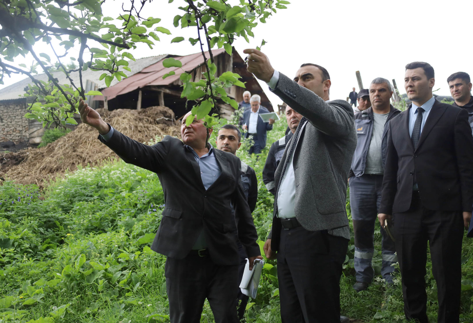 “Daşkəsən və Göygöldə aqrar inkişafa dəstək” layihəsi çərçivəsində monitorinq və icmalarla görüşlər keçirilir