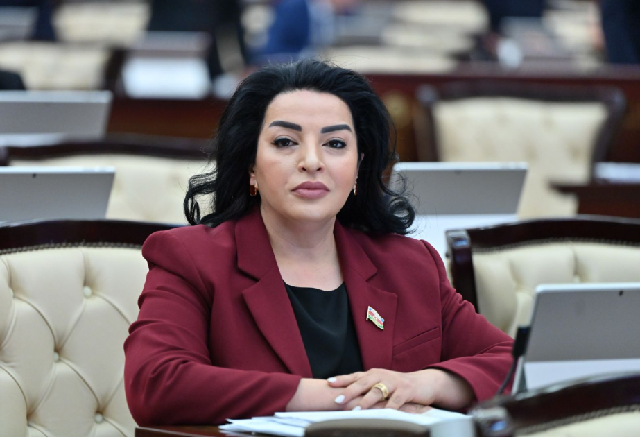 Müstəqillik Günü - Azərbaycan Xalq Cümhuriyyətinin əbədi irsi və müasir inkişafımızın təməli  ŞƏRH