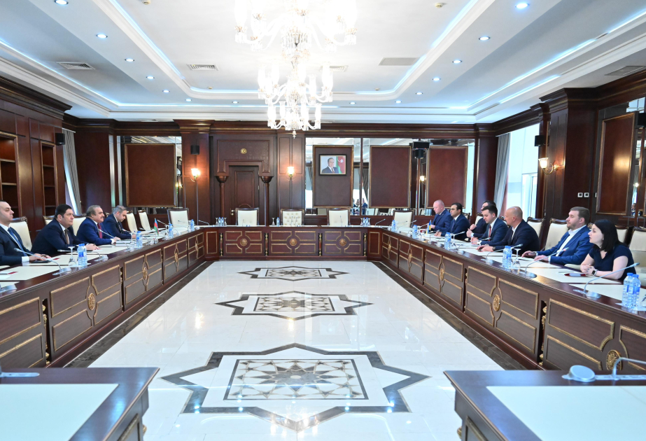 Ukrayna Ali Radasının Azərbaycanla dostluq qrupunun üzvləri ilə görüş olub