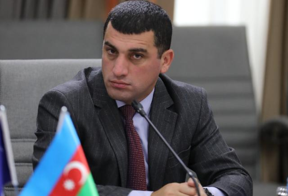 Bakı-Türkiyə-İslamabad əməkdaşlığı regionda ambisiyaları məhdudlaşdıran və qlobal geosiyasi rəqabəti balanslaşdıran əhəmiyyətə malikdir - RƏY