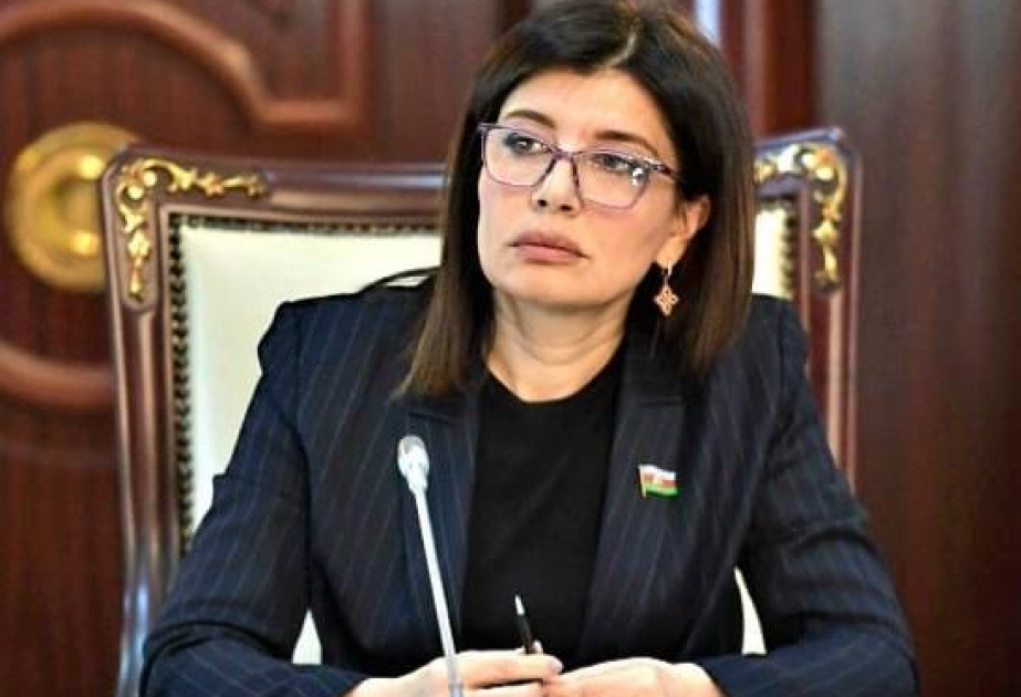 Müasir Azərbaycan enerji təhlükəsizliyinin açar ölkəsi və humanitar diplomatiyanın fəal iştirakçısıdır-ŞƏRH