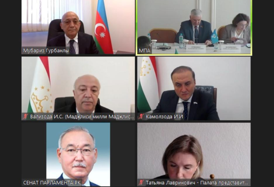 Milli Məclisin deputatları MDB PA komissiyalarının iclaslarında iştirak ediblər