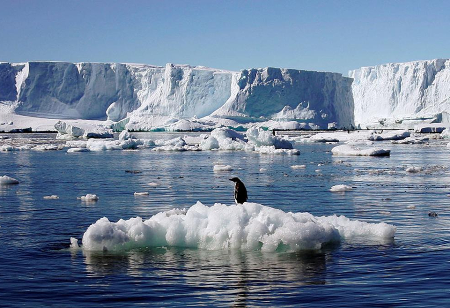 Global climate predictions show temperatures expected to remain at or near record levels in coming 5 years