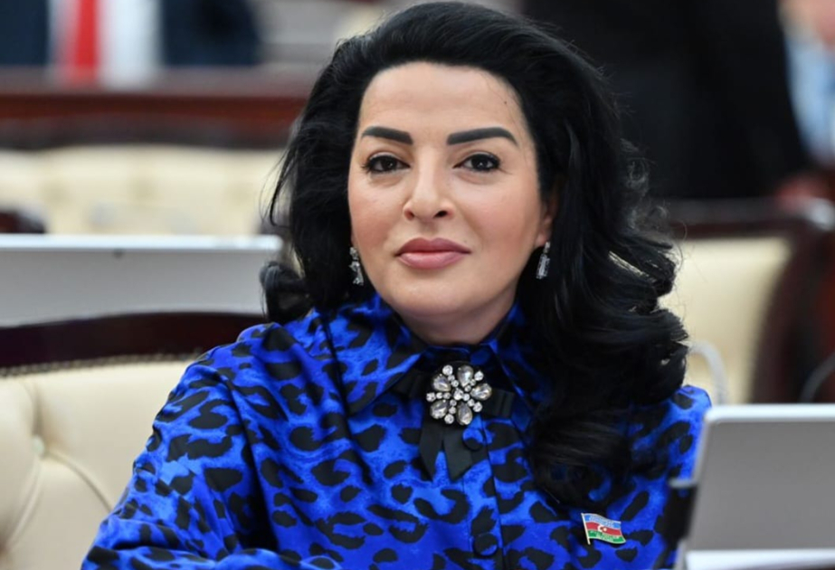 Azərbaycan, Türkiyə və Pakistan liderlərinin səsləndirdiyi mesajlar sarsılmaz birliyimizin göstəricisidir  ŞƏRH