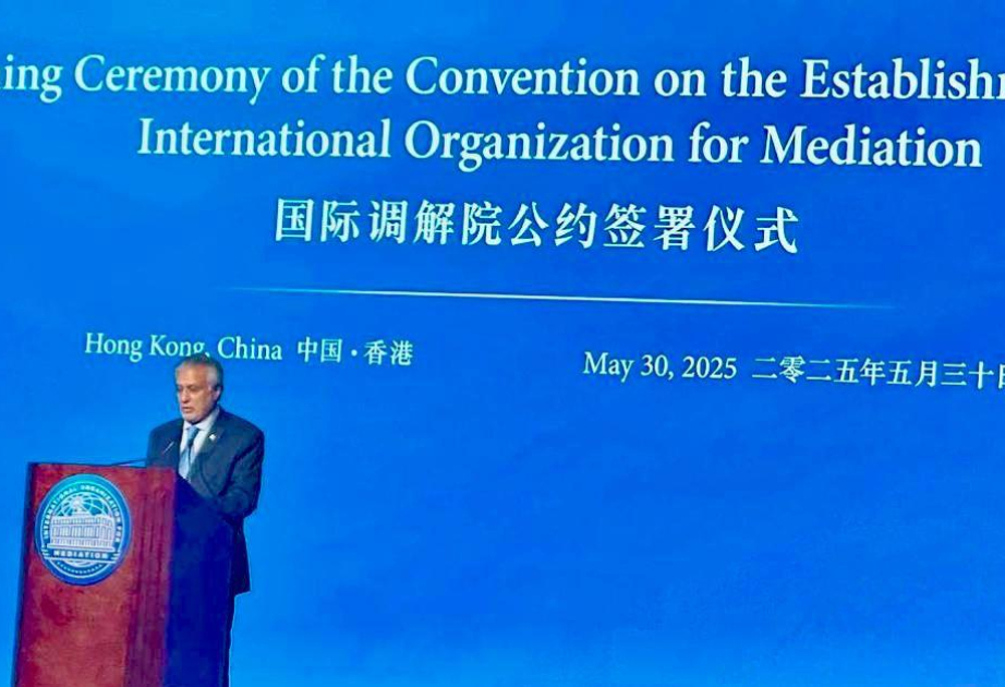 Pakistan’s Deputy Prime Minister signs Convention establishing International Organization for Mediation