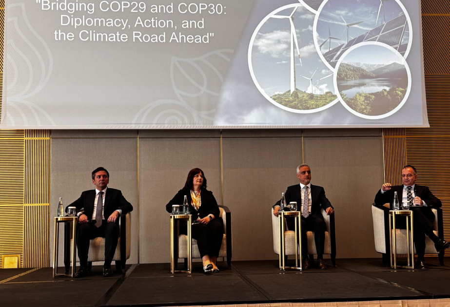 İstanbulda “COP29 və COP30 arasında körpü: Diplomatiya, fəaliyyət və iqlim üzrə yol xəritəsi” mövzusunda konfrans keçirilib VİDEO