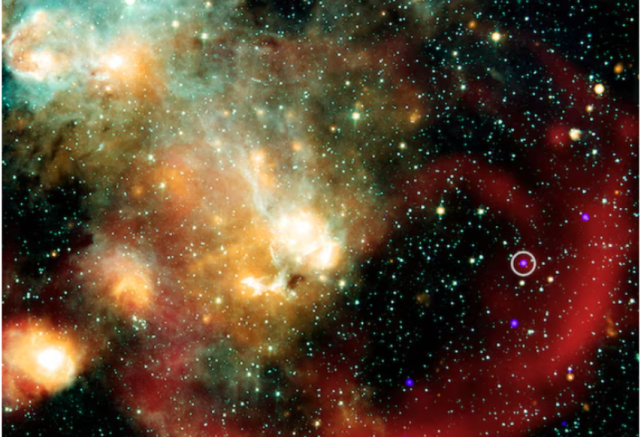 Astronomlar bir ulduzun başqalarından fərqli cəhətini araşdırırlar