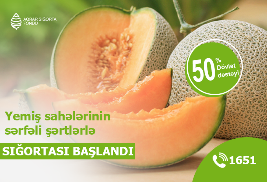 Yemiş sahələrinin sərfəli şərtlərlə sığortasına başlanıldı – şərtlər, məbləğlər