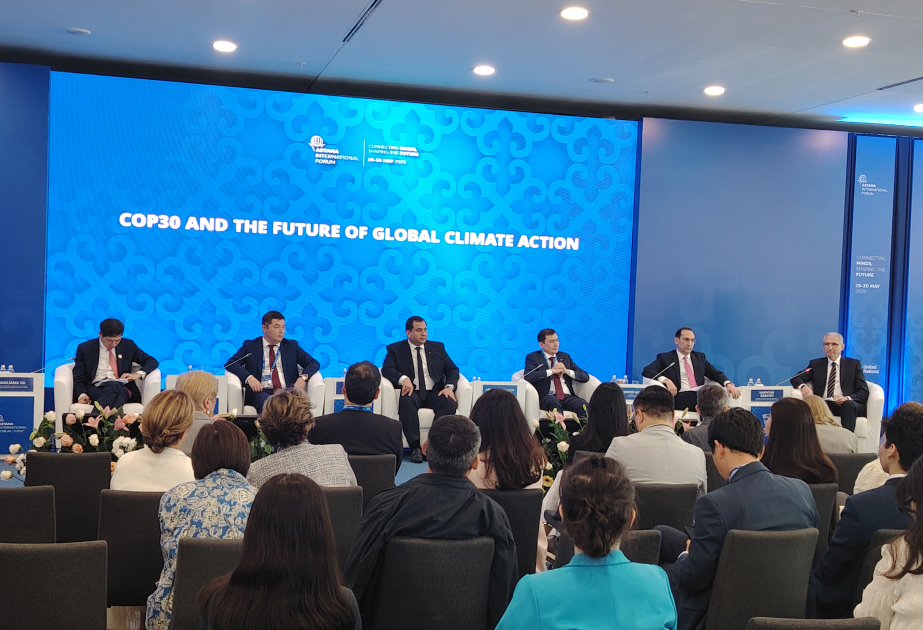 Мухтар Бабаев: Азербайджан готов делиться опытом в подготовке к будущим климатическим мероприятиям