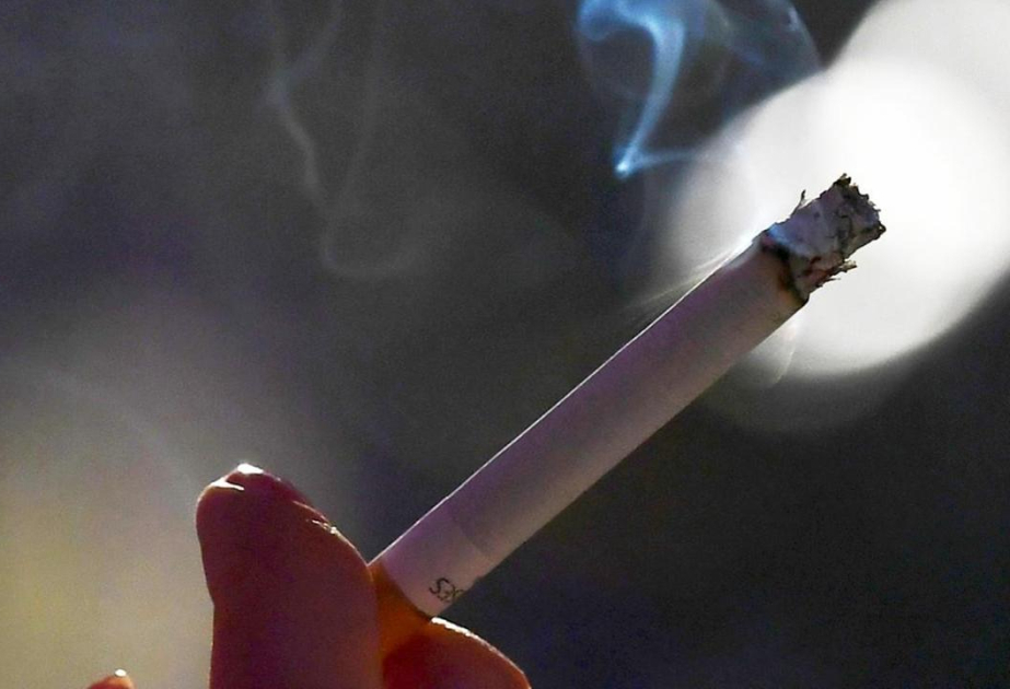 Frankreich: Regierung verhängt Rauchverbote im öffentlichen Raum