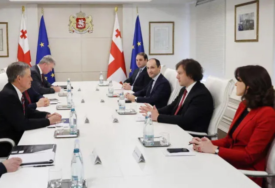 Gürcüstanın Baş naziri ABŞ senatoru ilə regiondakı vəziyyəti müzakirə edib