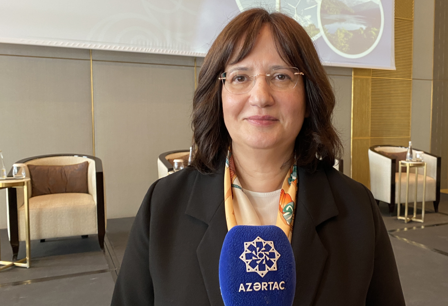 Fatma Varank: Türkiyə Bakıda COP31-ə sədrliklə bağlı bir çox görüşlər keçirdi