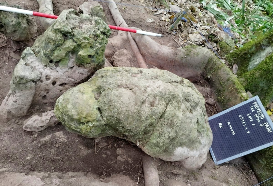 ‘The Grandparents’: Mysterious 3,000-year-old Mayan city unearthed in Guatemala