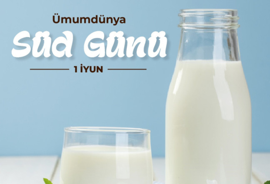 Süd: Hamıya lazım olan qida