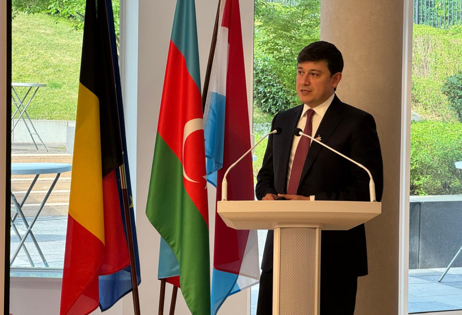 Aserbaidschanische Gemeinschaft in Belgien über Projekte zur Stärkung der Einheit informiert