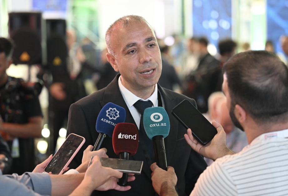 Nazir müavini: Qarabağda demək olar ki, bütün elektrik enerjisi alternativ mənbələrdən alınır