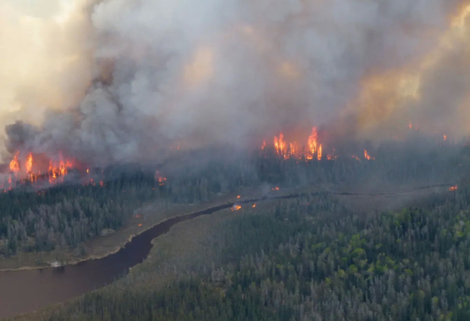 Zehntausende Menschen vor Waldbränden evakuiert