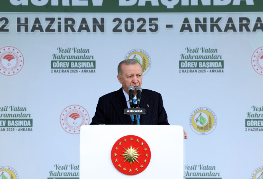 Ərdoğan: Türkiyə meşə yanğınları ilə mübarizədə PUA-lardan istifadə etməklə Avropada lideridir