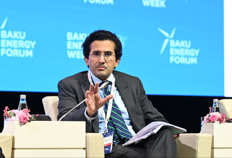 Ali Pervaiz Malik: Pakistan hazırda enerji səmərəliliyinə yönəlmiş strategiya hazırlayır VİDEO