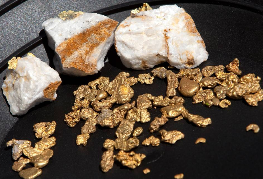 'It's like trying to grow a tree in an oven': Gold mining is sucking Amazon rainforest dry