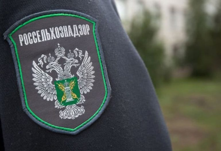 Россия может ввести ограничения на ввоз цветочной продукции из Армении