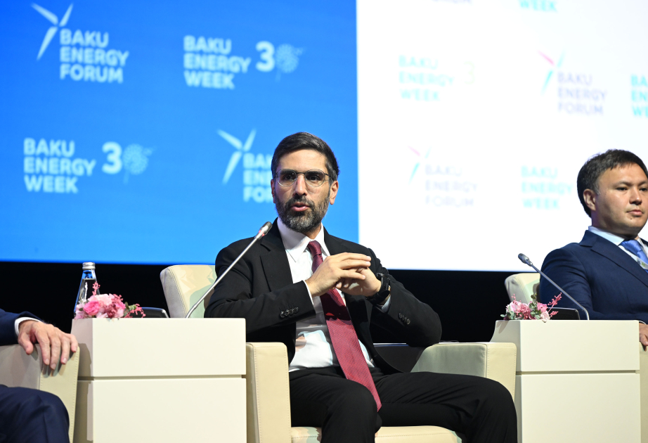 Rövşən Nəcəf: Elektrik enerjisinin ixrac infrastrukturunu yaratmağı düşünürük VİDEO