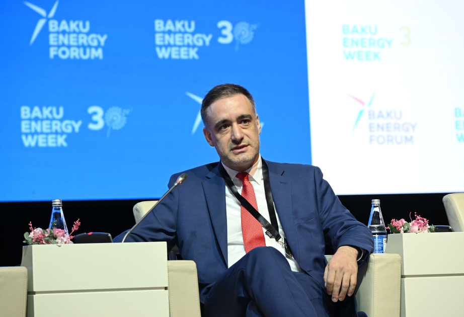 Gürcü nazir müavini: “Yaşıl Enerji Dəhlizi” ambisiyalı layihədir VİDEO