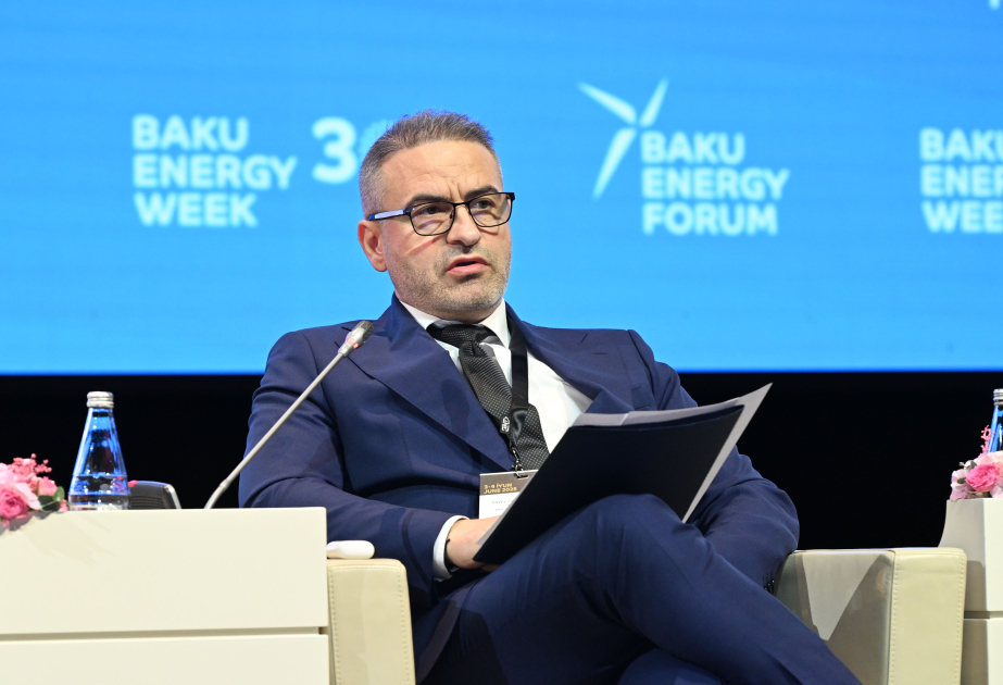 State Secretary of Romanian Ministry of Energy: Romania and Azerbaijan have long-standing relations