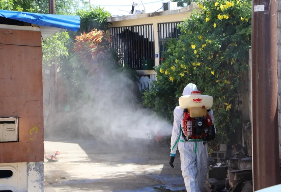 Fransanın dənizaşırı ərazilərində çikunqunya epidemiyası geniş yayılıb