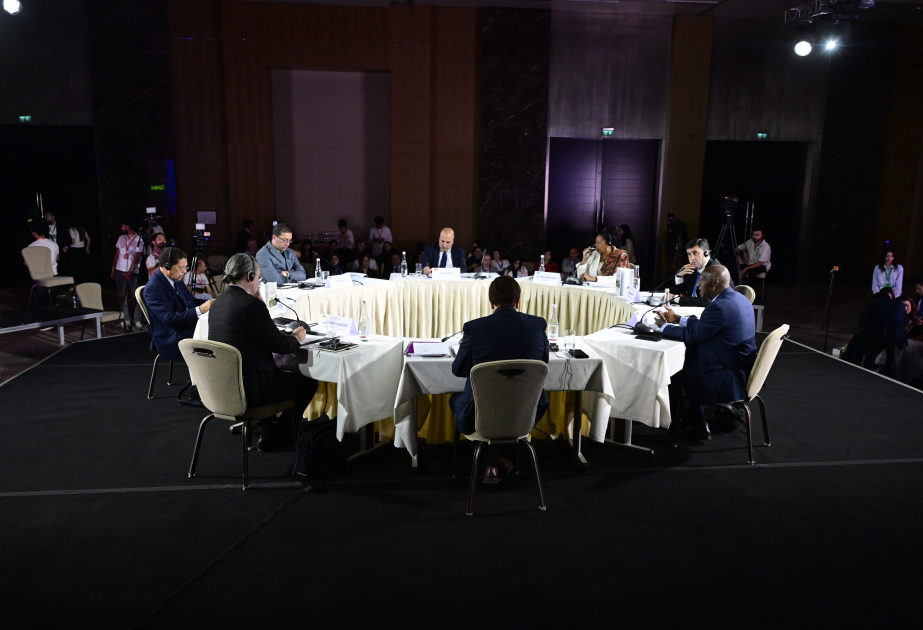 First day of International scientific conference on decolonization wraps up in Baku
