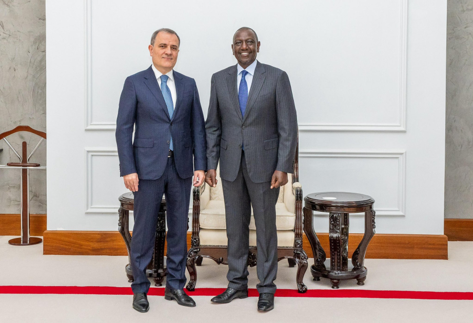 El Ministro de Asuntos Exteriores de Azerbaiyán se reúne con el Presidente de Kenia