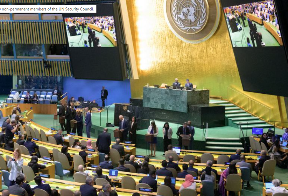 Conseil de sécurité de l’ONU : cinq nouveaux venus au chevet d’un monde en crise