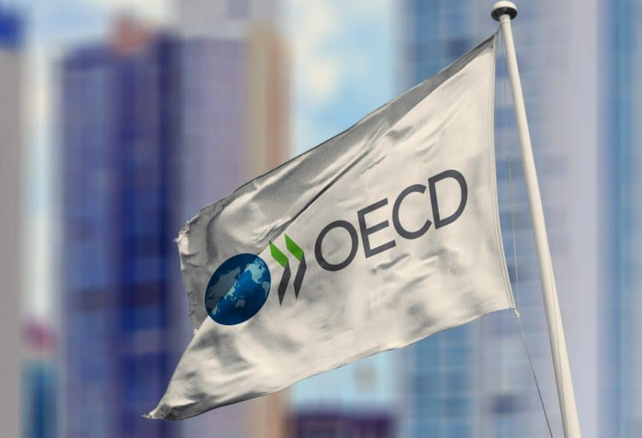 Globales BIP-Wachstum wird sich 2025 und 2026 auf 2,9 Prozent verlangsamen: OECD