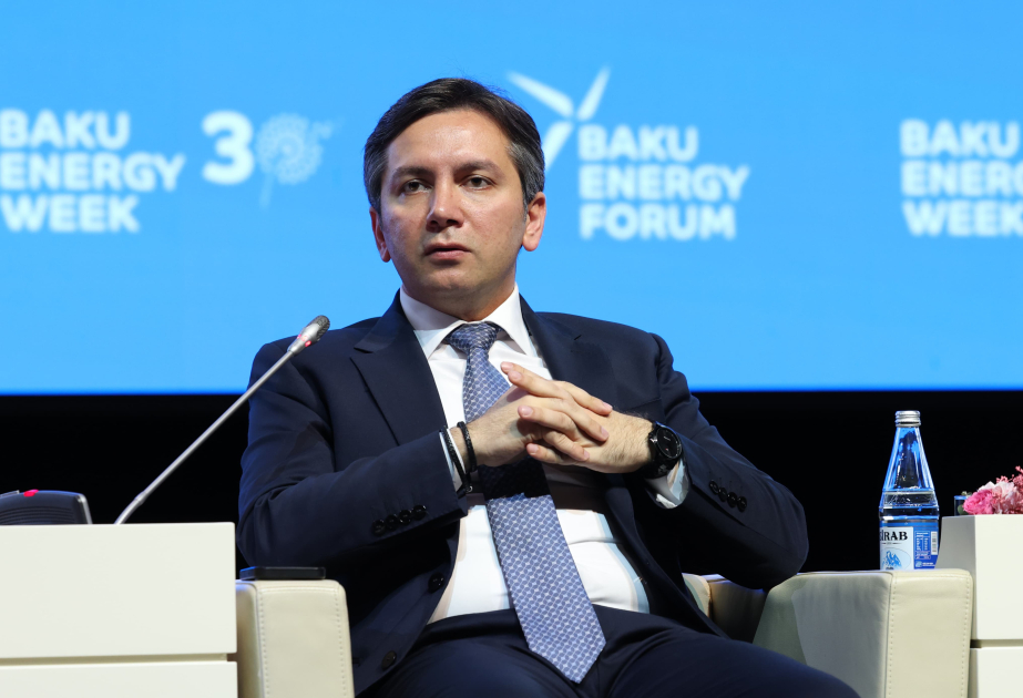 La COP29 es considerada una de las conferencias climáticas más significativas, según Negociador Principal