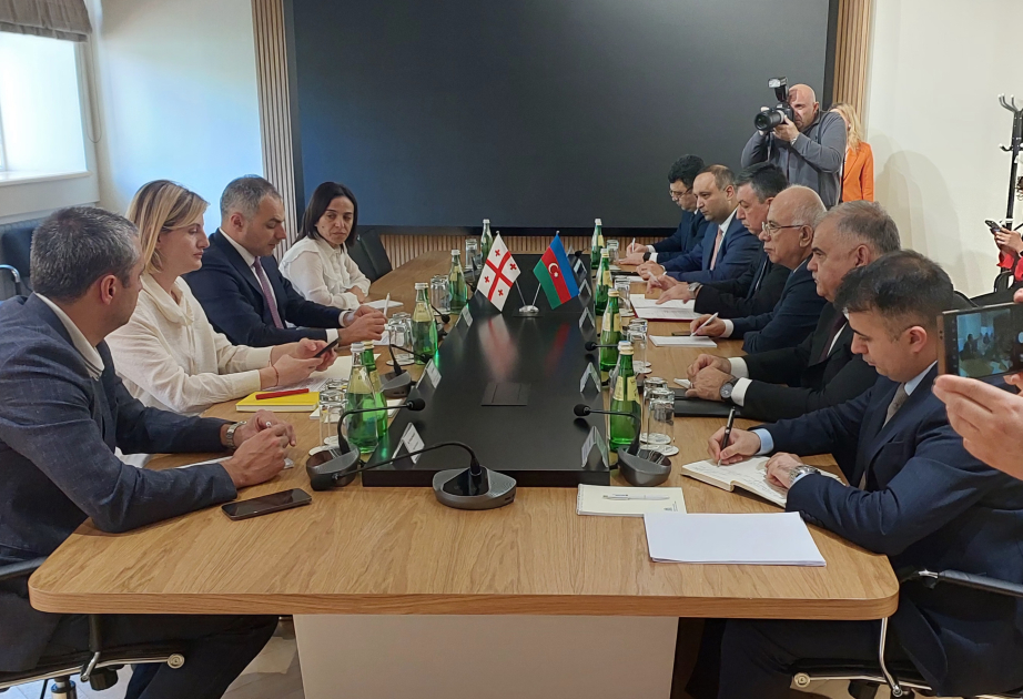 Gürcüstanın elm, təhsil və gənclər naziri Bakıda keçiriləcək konfransda iştirak edəcək